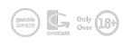 Ecwon Casino 版权标志